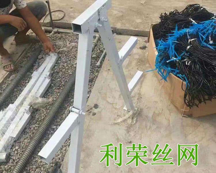 無(wú)土栽培草莓架圖片4