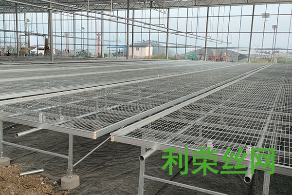 移動(dòng)苗床圖片2